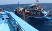 Paying dearly for violating IUU fishing: Taking a risk once, regretting all the life